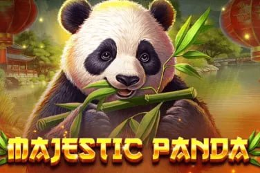 v666 chính sách bảo mật thông tin